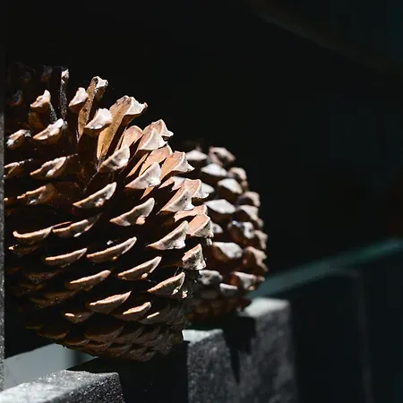 La Cachette Du - Sejour Nature Entre Et Ocean 6 Pers Casa de Férias