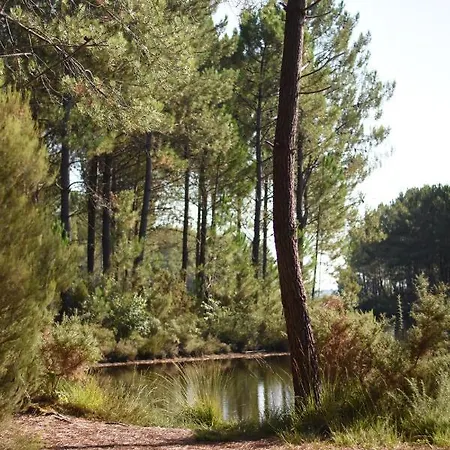 La Cachette Du - Nature Proche Lac, Piscine&océan Lacanau