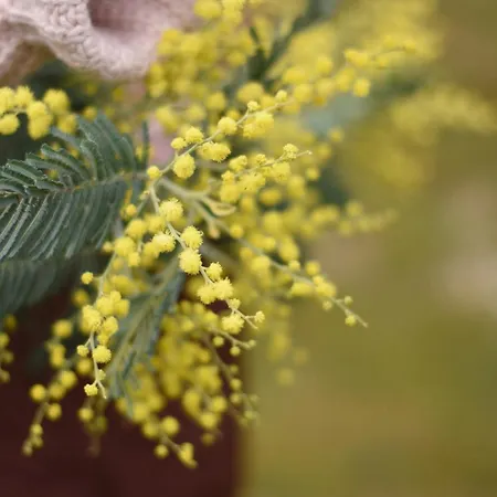La Cachette Du Sejour Nature Et Confort Pour Des Souvenirs Inoubliables